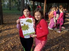 IMG_20171018_164235.jpg